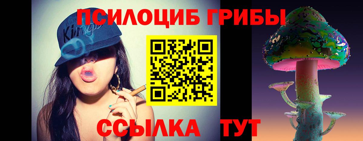 Галлюциногенные грибы мухоморы Петрозаводск