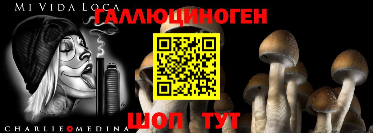 Петрозаводск  Галлюциногенные грибы ЛСД  цены наркотик  Вход с VPN 